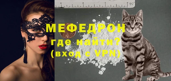 мет Алексин