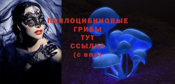 СК Алзамай